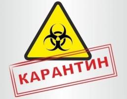 Фото Ограничение времени работы в период карантина!