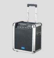 Автономная акустическая система BIG PPA10M