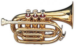 Труба MAXTONE TT MINI 28L