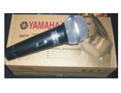 Микрофон BIG DM-200