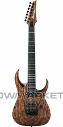 Электрогитара IBANEZ RGAIX7U ABS