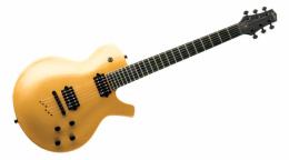 Электрогитара Parker PM20 G