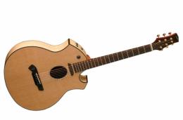 Акустическая гитара Parker P-8E ETB