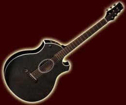 Акустическая гитара Parker P6E BK