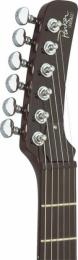 Электрогитара Parker PM-10