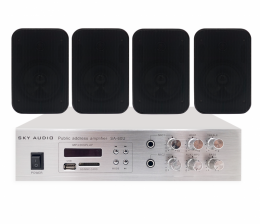 Комплект настенных колонок SKY SOUND WS-2404