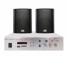 Комплект настенной акустики SKY SOUND WS-3002