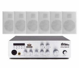 Акустический комплект SKY SOUND WSY-1006