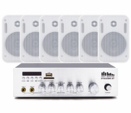 Комплект настенных колонок SKY SOUND WSY-2406