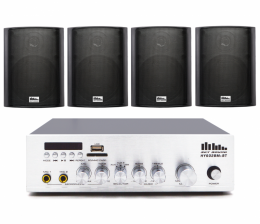 Комплект настенной акустики SKY SOUND WSY-3004