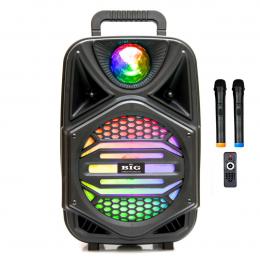 Автономная акустическая система BIG110MAGIC BALL USB/MP3/FM/BT/TWS + 2pcs VHF mic