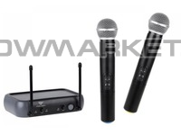 Радиосистема BIG PGX2