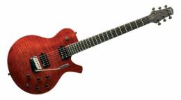 Электрогитара Parker PM24 VFCG