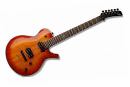 Электрогитара Parker PM-20PRO FHB