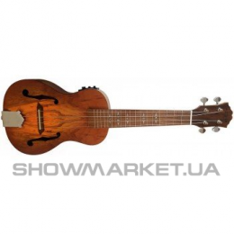 Укулеле - FZONE FZU-31MEQ Concert