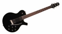 Электрогитара Parker PM24 VB