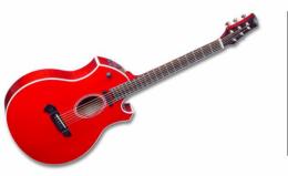 Акустическая гитара Parker P-6EB