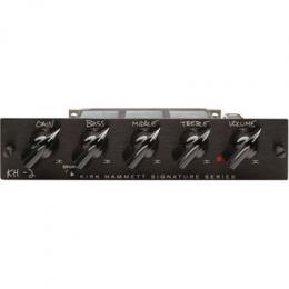 Сменный слот предварительного усилителя Randall KH2A