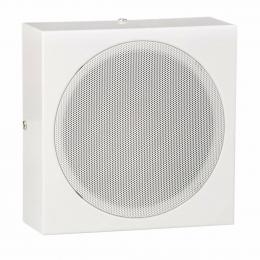 Настенная акустика AMC EVACW 5