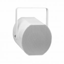 Настенная акустика AMC SPM 20