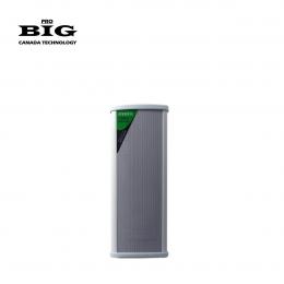 Настенная акустика BIG TOWER150 + 5 COXIAL TWEETERS