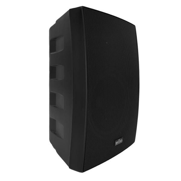 Фото Настенная акустика BIG MSB888 BLACK L