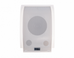 Настенная акустика SKY SOUND T-611TW