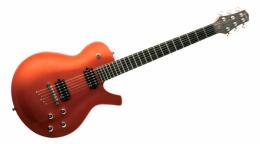 Электрогитара Parker PM20 TNG