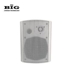 Настенная акустика BIG MSB404 WHITE
