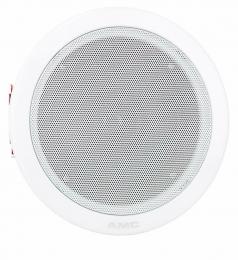 Стельова акустика AMC EVAC 50X