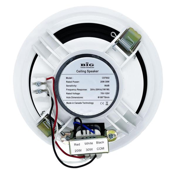Фото Потолочная акустика BIG CST602+ ВЧ твиттер (2х полосная) L
