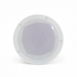 Потолочный динамик SKY SOUND TM-701W