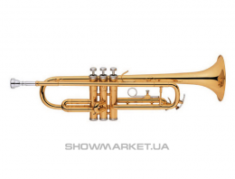 Труба MAXTONE TTC29L2