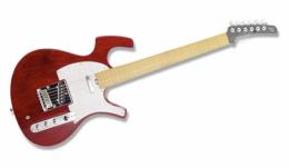 Электрогитара Parker P36 TR