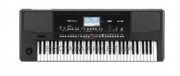 Синтезатор KORG PA300