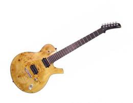 Электрогитара Parker PM-20SP