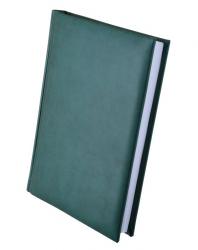 Дневник недатированный А5 зеленый Gentle Buromax 2009-04