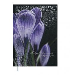 Щоденник недатований А5 фіолетовий Posh Buromax 2013-01
