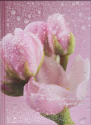 Дневник недатированный А5 розовый Posh Buromax 2013-10