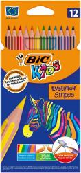 Олівці кольорові BIC Evolution Stripers 12 кольорів bc9505221