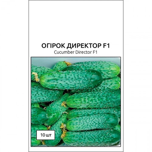 Огурцы Директор Описание Сорта Фото