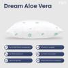 Фото Подушка  DREAM COLLECTION  ALOE VERA 50*70 см (економ)