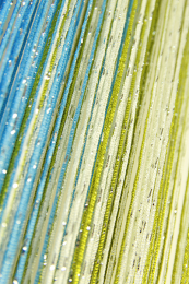 Шторы нити Радуга Дождь с серебристым люрексом белый голубой оливковый № 1+11+19