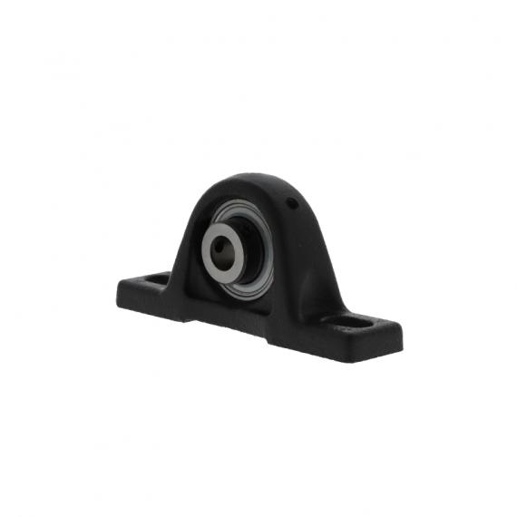 Фото Подшипниковые опорные узлы RASEY60 -N 10105009