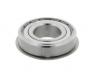 Foto rulment radial cu bile 6003  ZZENR 10163844