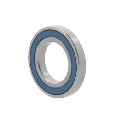 Foto rulment radial cu bile 6005 -2NKE9C3 10163857