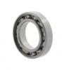 Foto rulment radial cu bile 6302 10055554