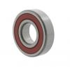 Foto rulment radial cu bile 6303 -NSE9CM 10213028