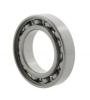 Foto rulment radial cu bile S61700 10144889