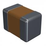C3216C0G2J102J085AA